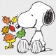 Comic Classics Snoopy & Woodstock Fall Leaves Vinyl Decal